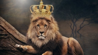 王冠を被ったライオン