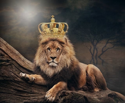 王冠を被ったライオン