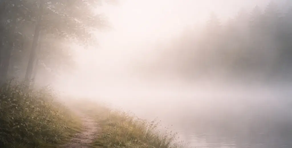 霧に包まれた静かな道。先が見えない風景が、自分の気持ちがわからない状態を象徴している